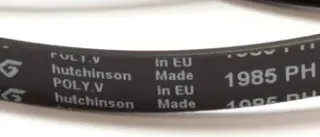 Correa transmision secadora 1985H7 Aeg, Whirlpool