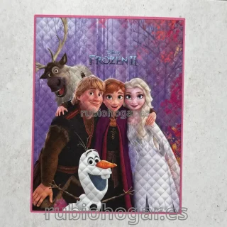 Colcha boutí Frozen